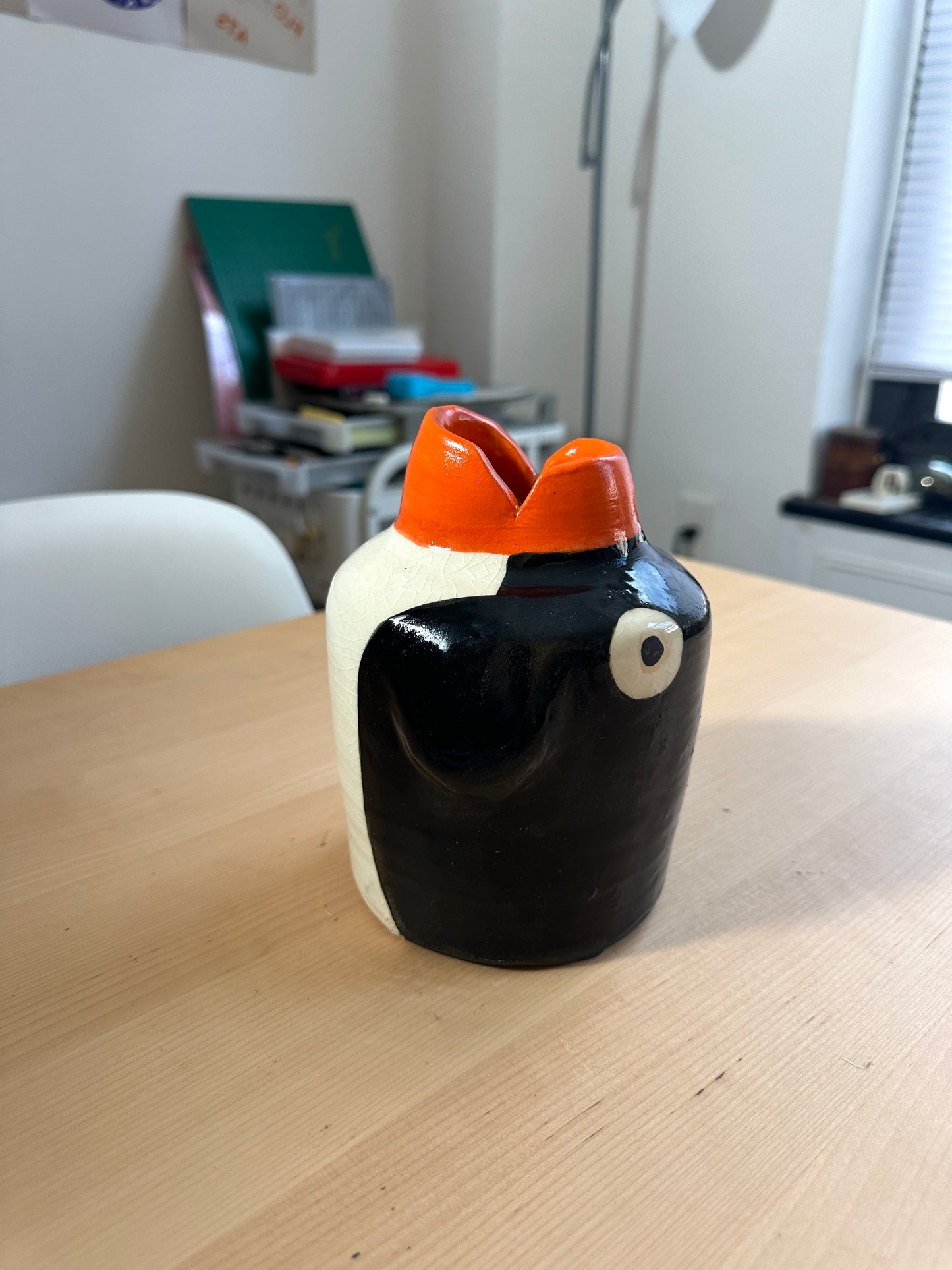 _Dori (Dorito) the Penguin Pal